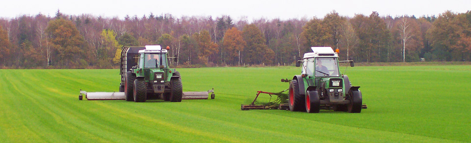 Feld